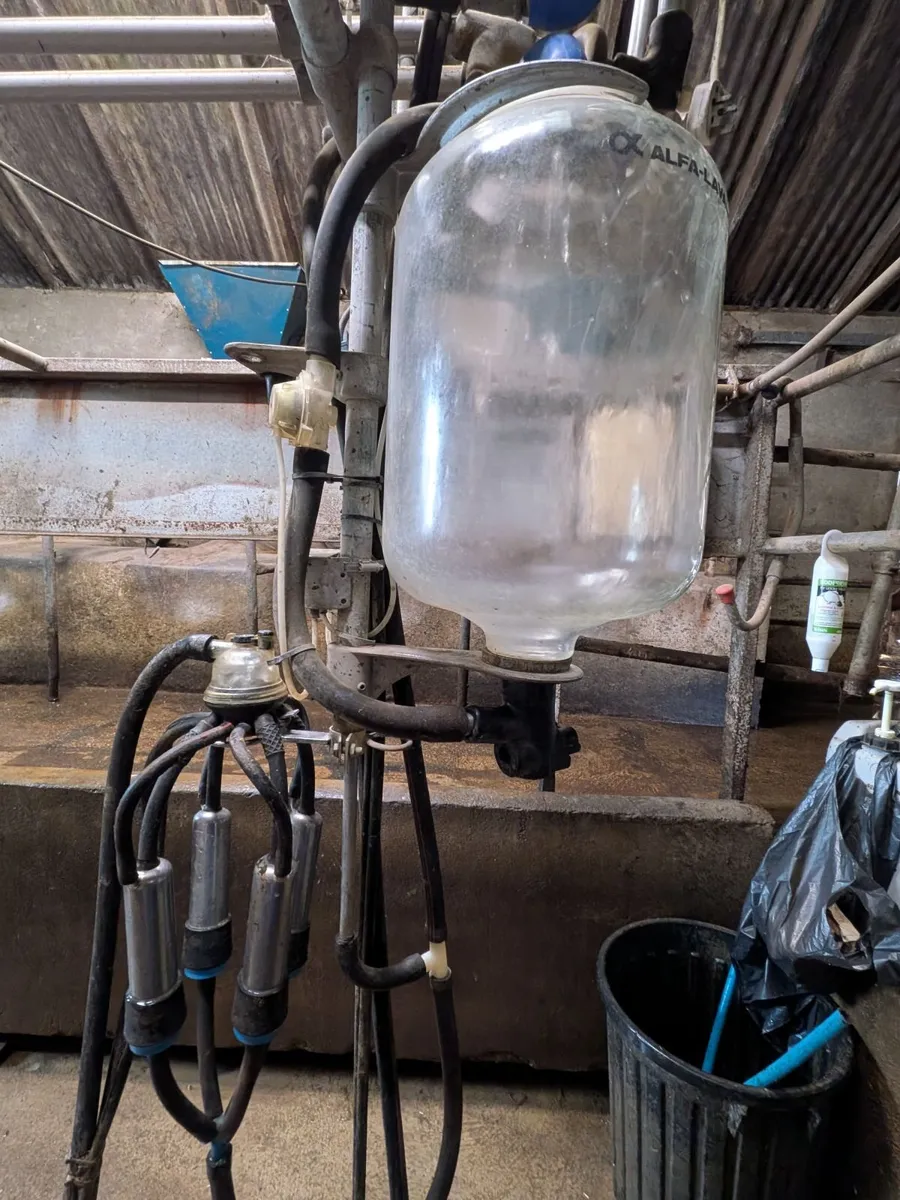4 point Laval Milking Parlour for parts - Image 1