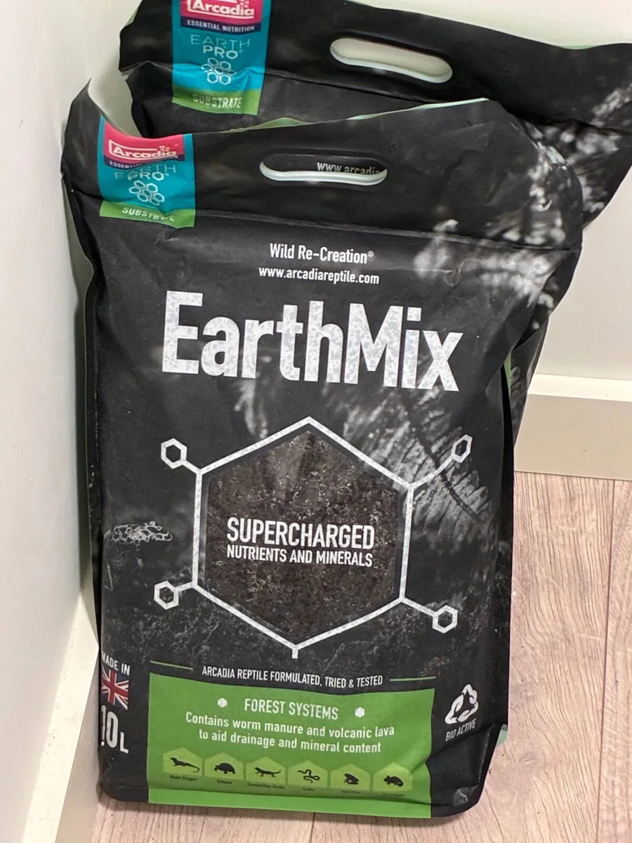 2 x Hermanns tourtise with tank and accessories - Image 2