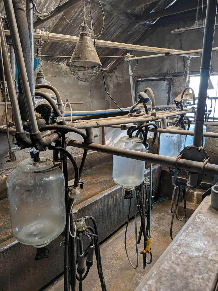 4 point Laval Milking Parlour for parts - Image 4