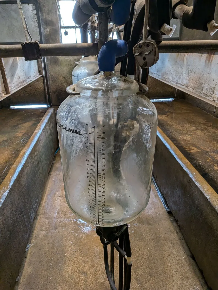 4 point Laval Milking Parlour for parts - Image 3