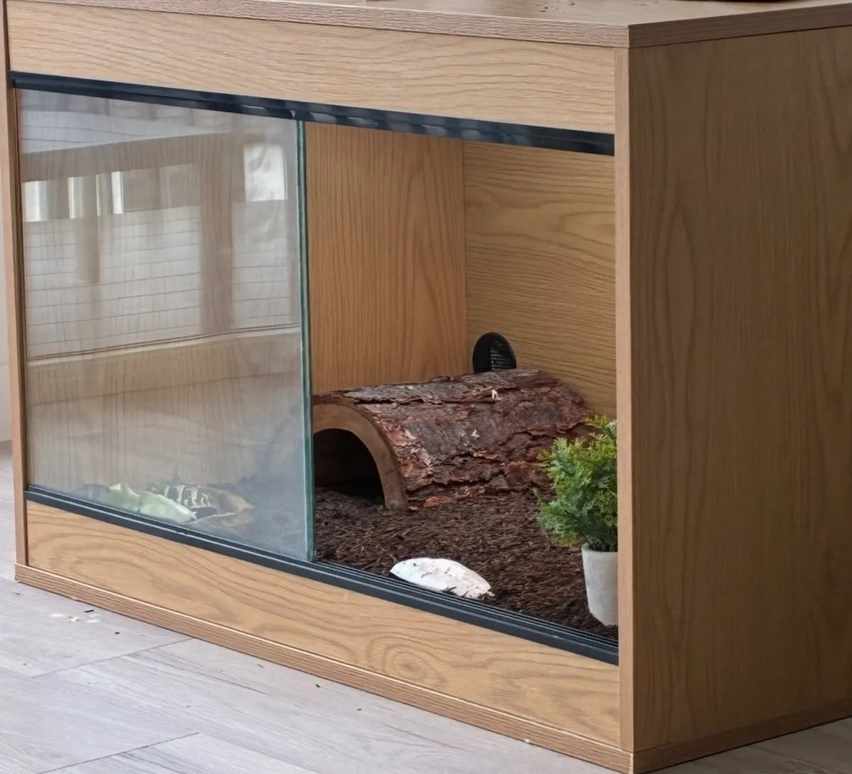 2 x Hermanns tourtise with tank and accessories - Image 1