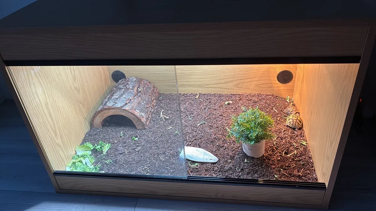 2 x Hermanns tourtise with tank and accessories - Image 4