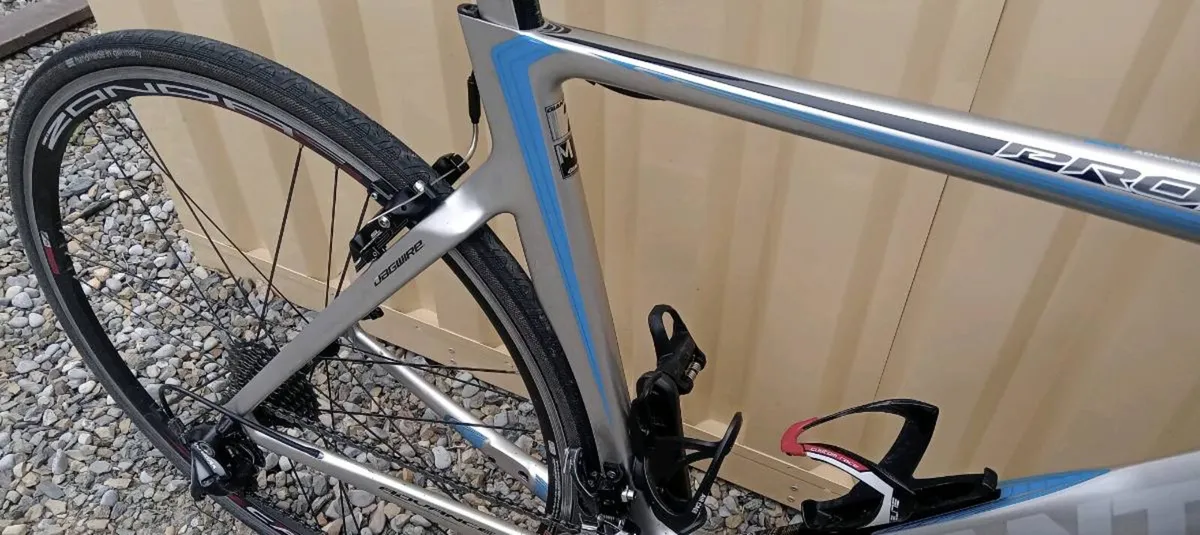 GIANT PROPEL CARBON BIKE - Image 3