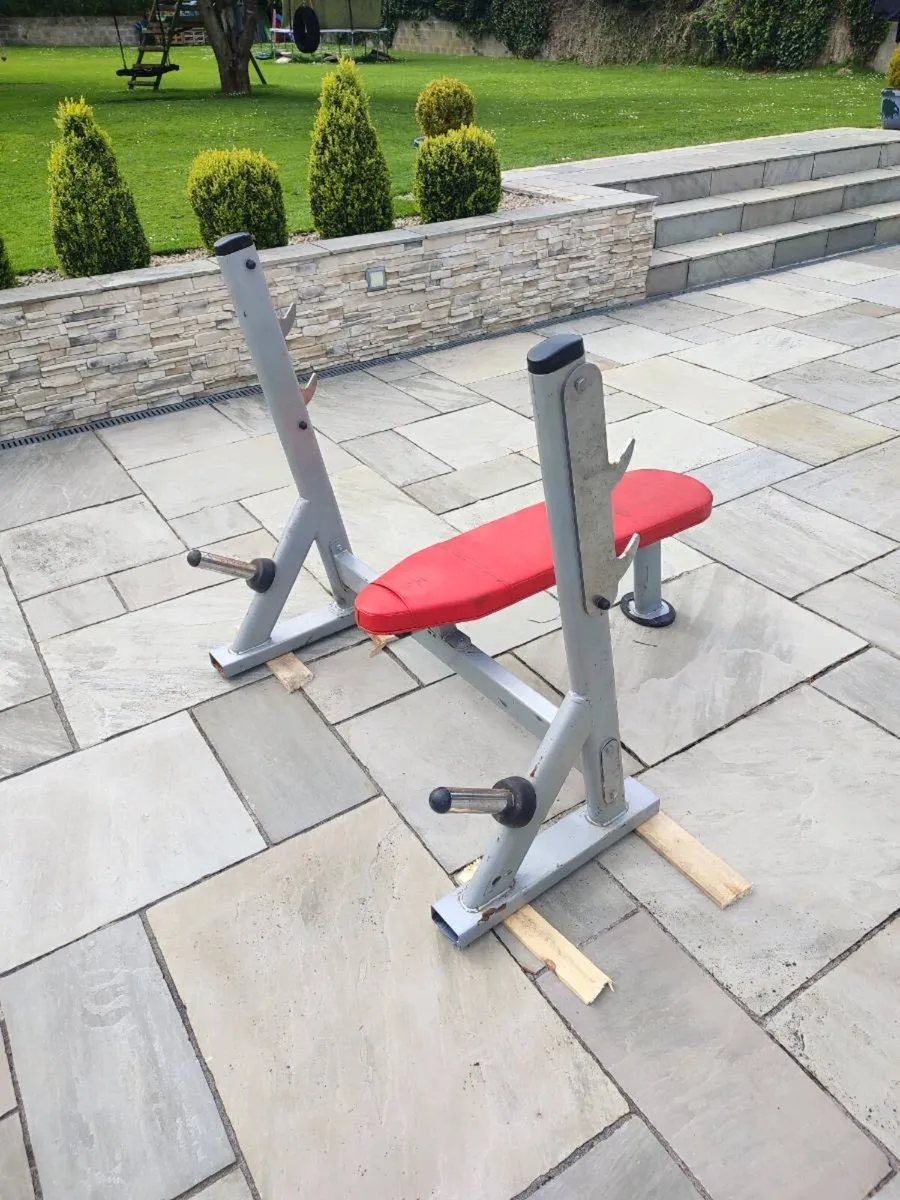 commercial bench press Gym Equipment - Image 2