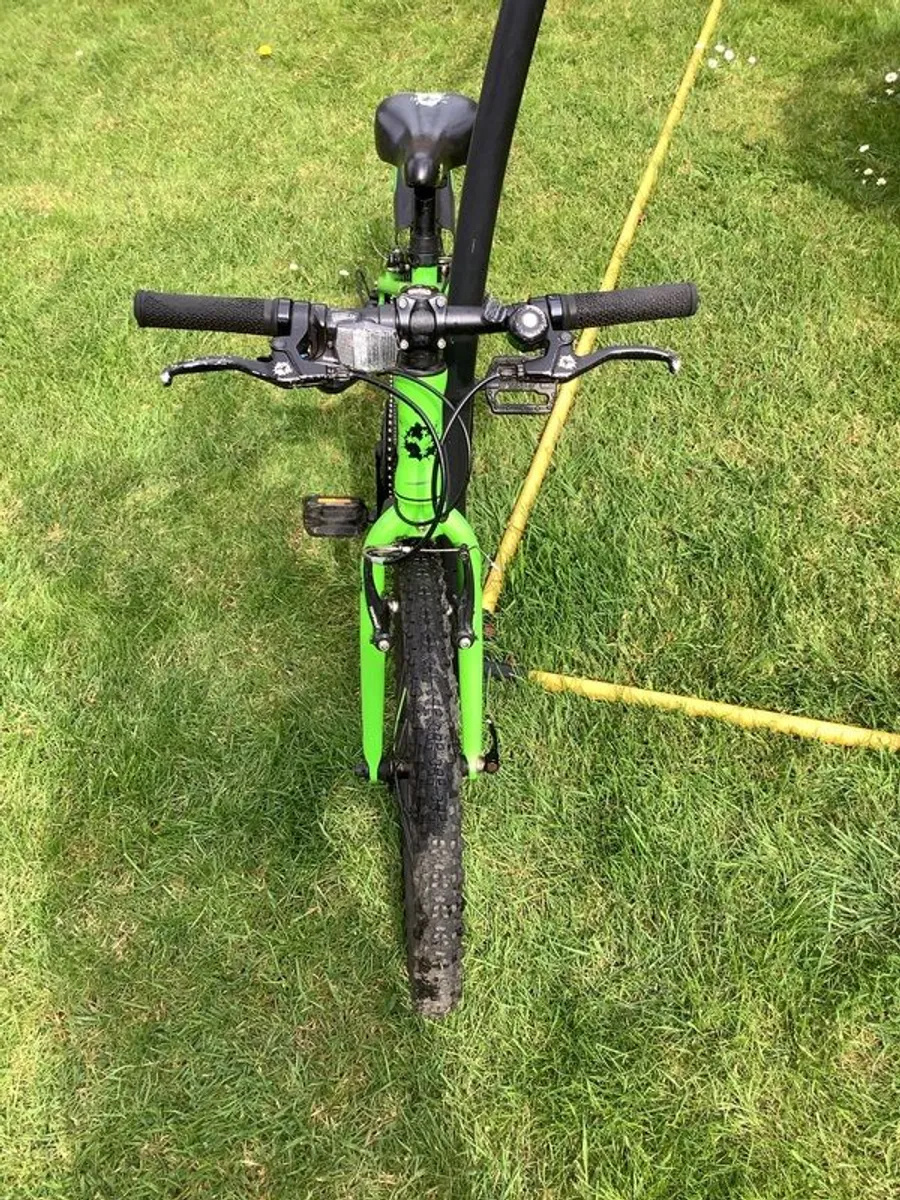 Frog 55 20" Children's Bike - Image 4