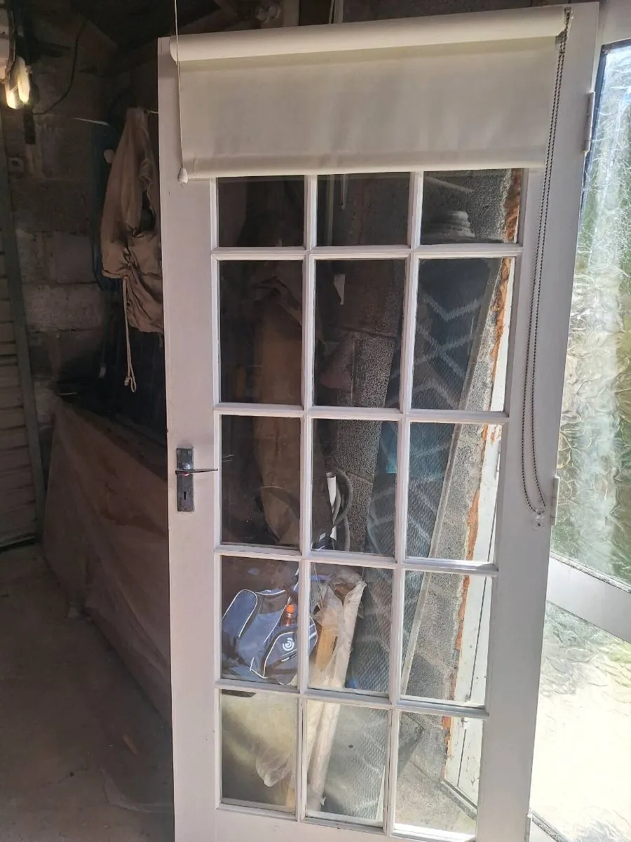 Glass paneled internal door - Image 1