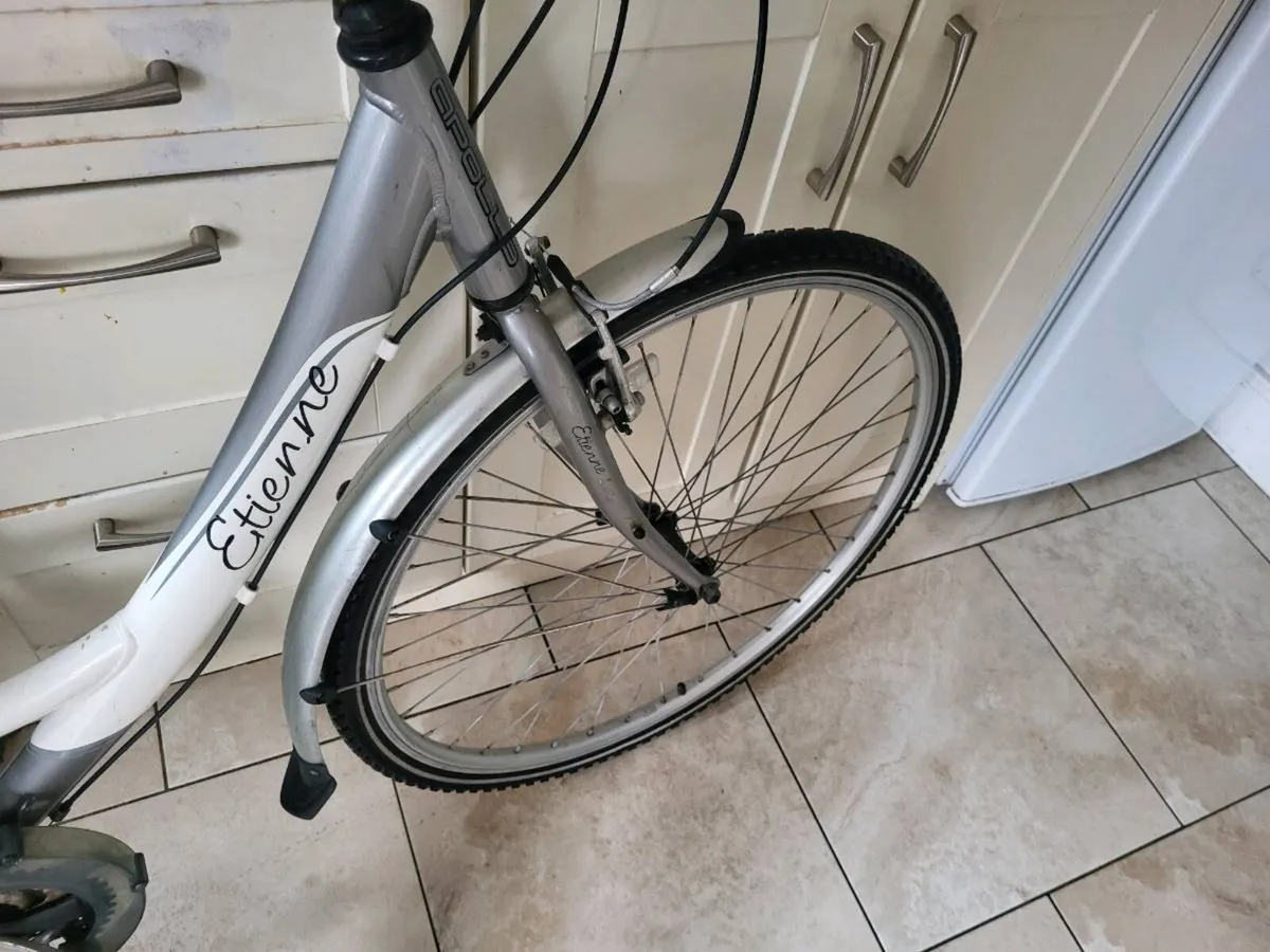 Ladies bike - Image 2
