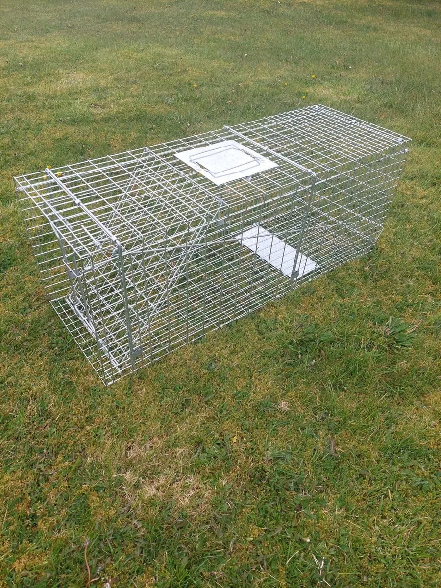 Animal-friendly trap - Image 1