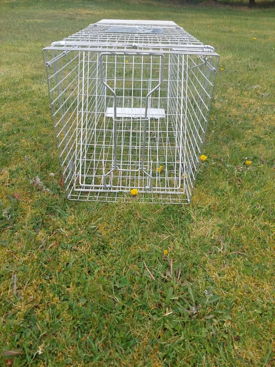 Animal-friendly trap - Image 2