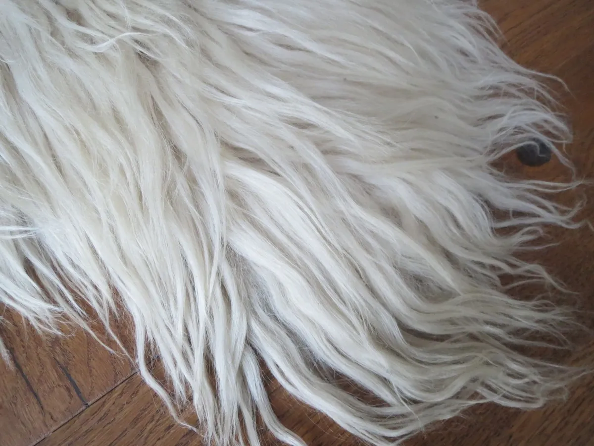 Large Sheepskin Rug - Image 4