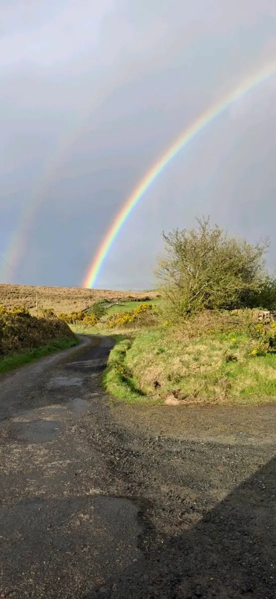 LAND / Grazing - Image 1