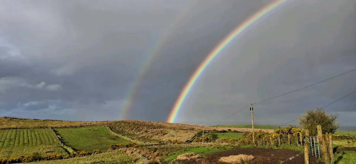 LAND / Grazing - Image 2