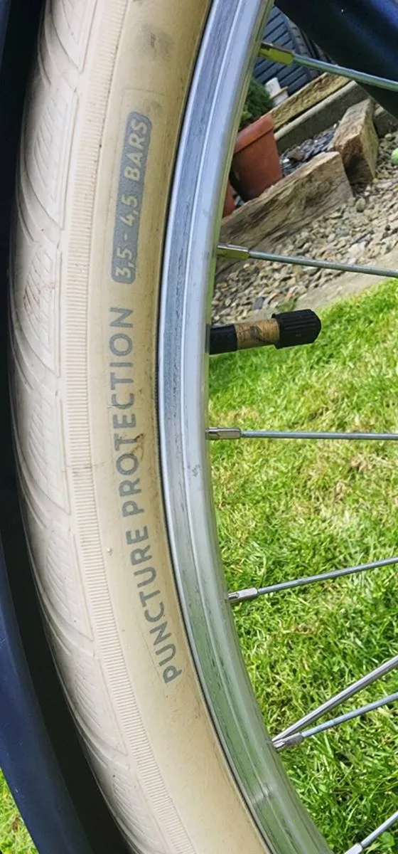 Lady's Bicycle - Image 2