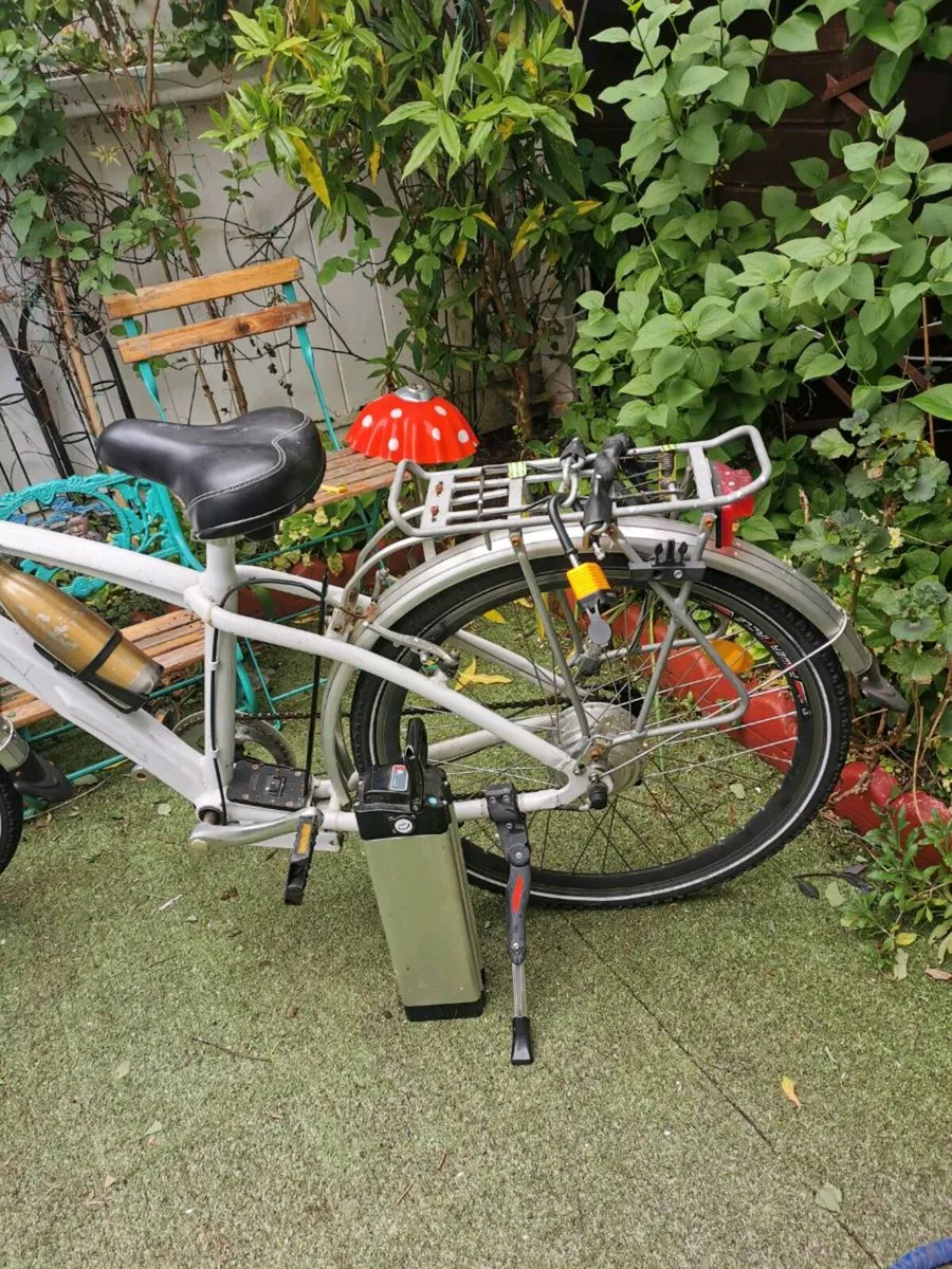 Electricit bike - Image 1