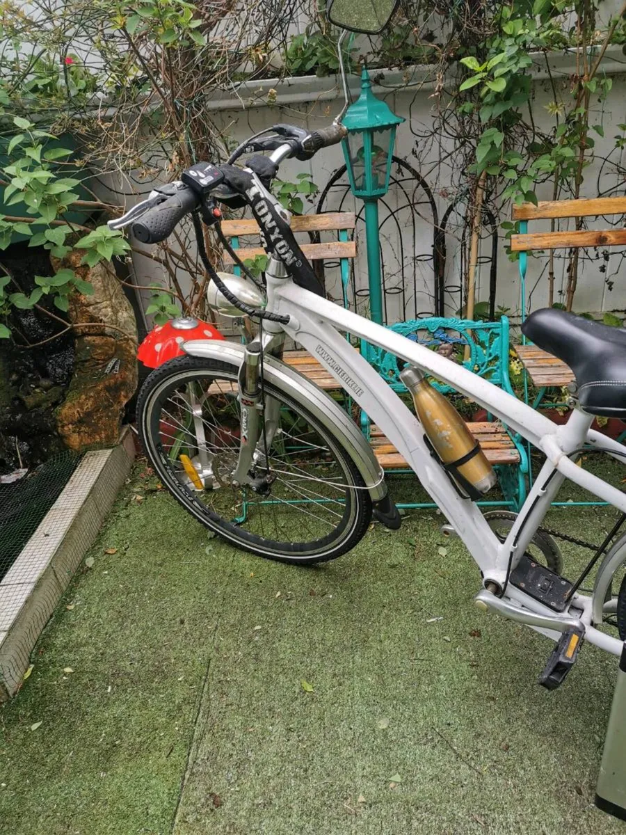 Electricit bike - Image 2