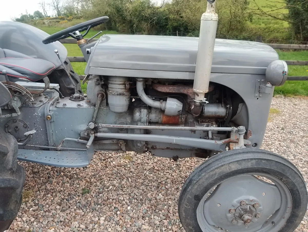 1960 T20 diesel Ferguson - Image 4
