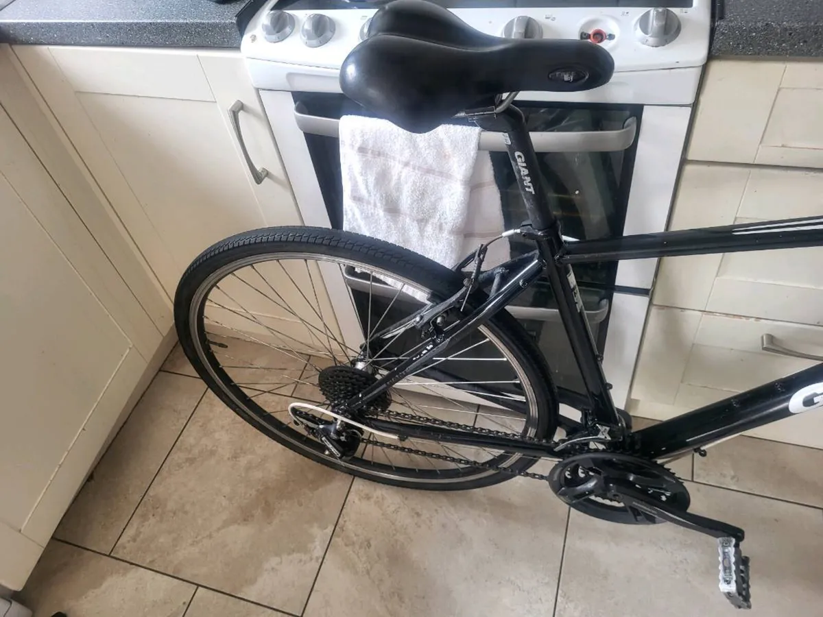 Giant bike - Image 3