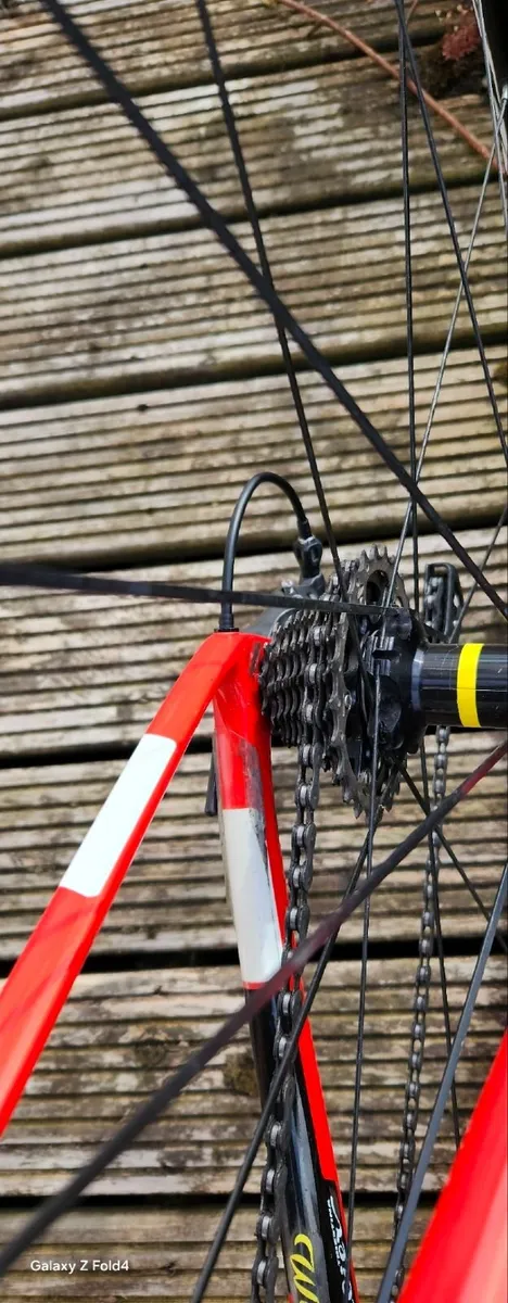 Wilier Triestina GTR Team - Image 4