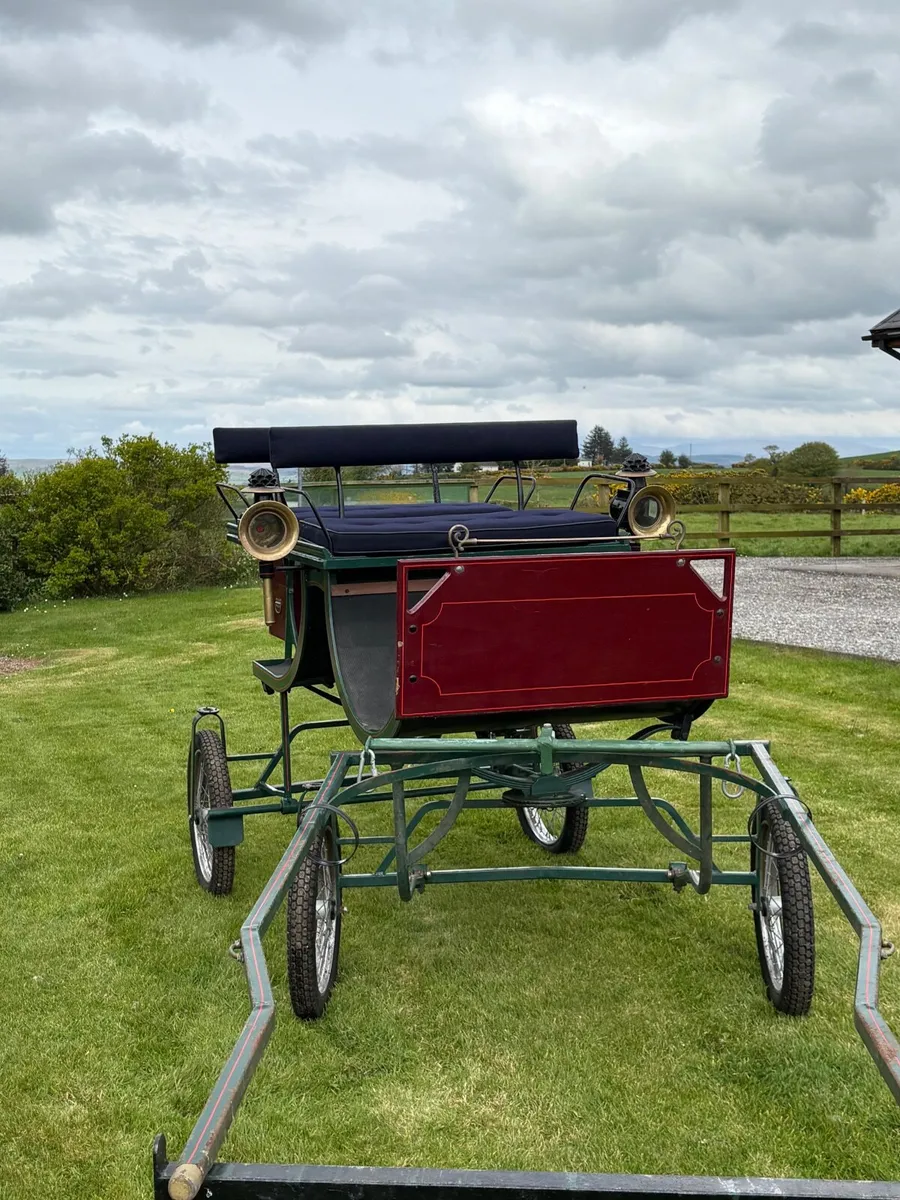 Horse Carriage - Image 4