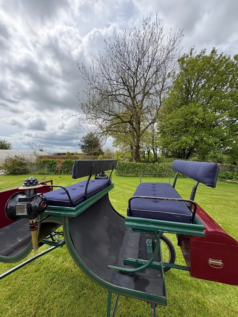 Horse Carriage - Image 3