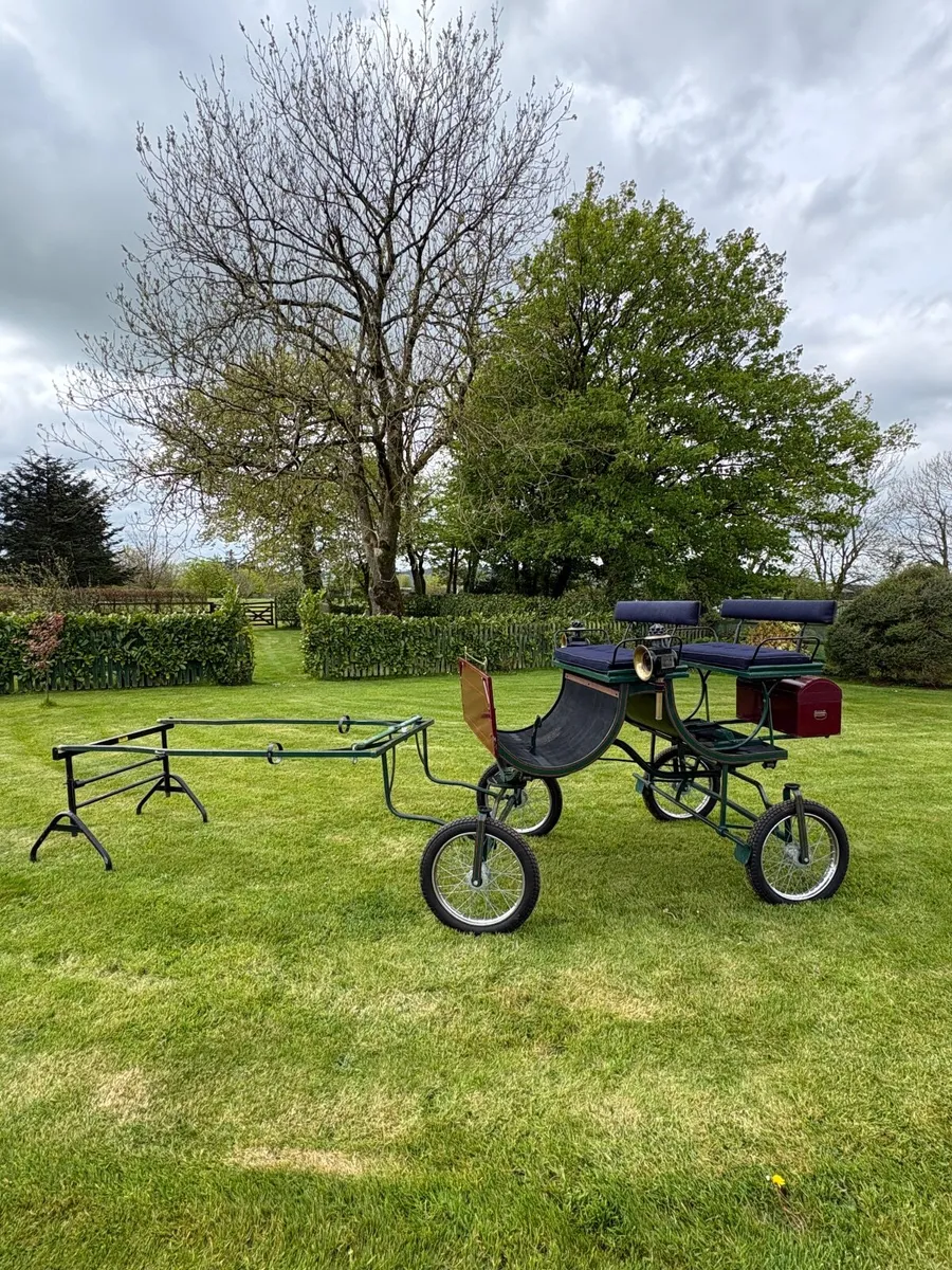 Horse Carriage - Image 2