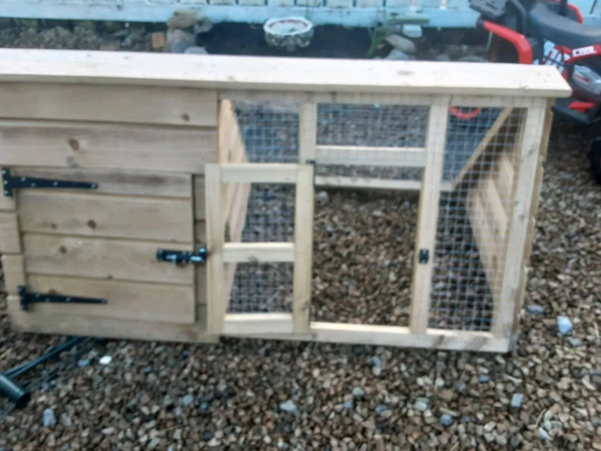 Rabbit run - Image 3