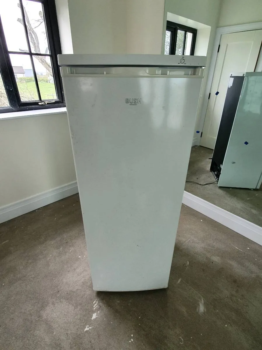 Free Standing Freezer - Image 2