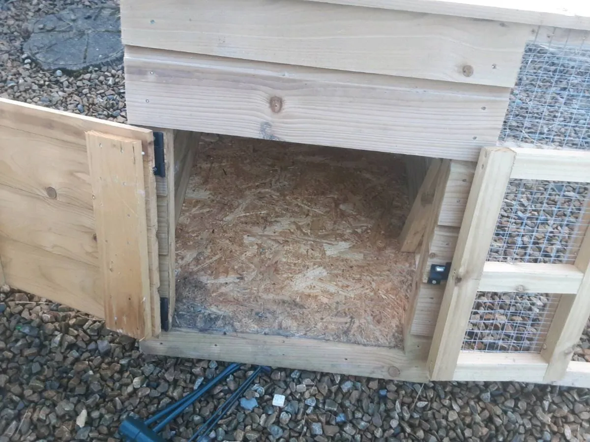 Rabbit run - Image 4