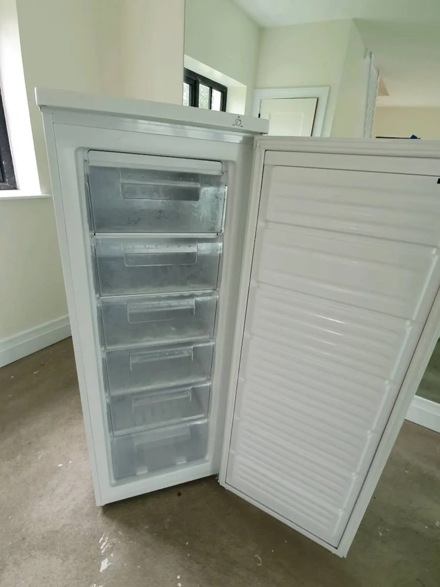 Free Standing Freezer - Image 1