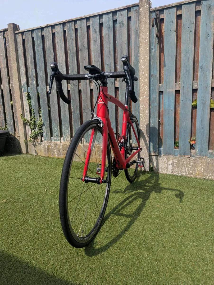 Fuji Carbon Road Bike - Image 3