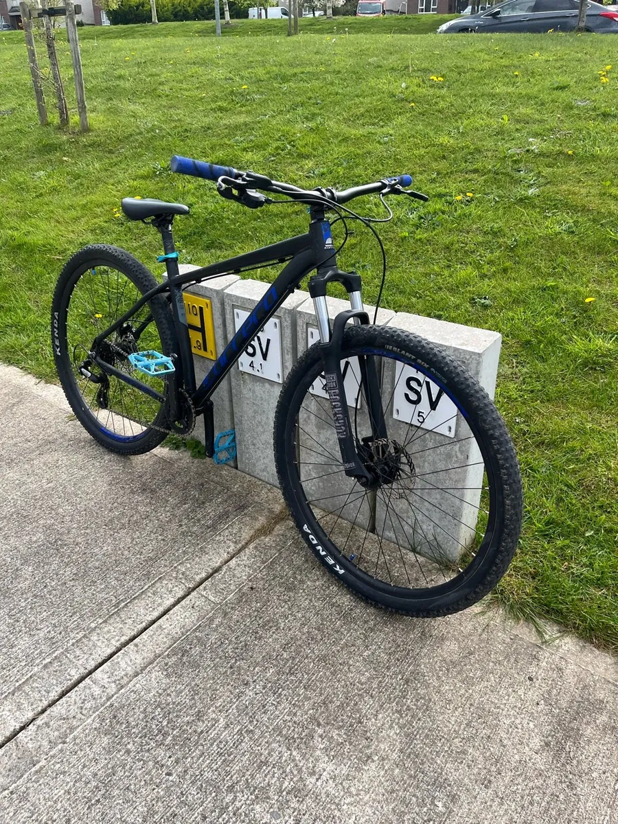 Carrera hellcat - Image 4