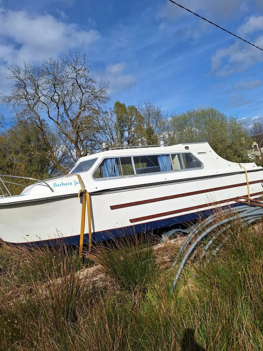 BOAT RIVER CRUISER - Image 2