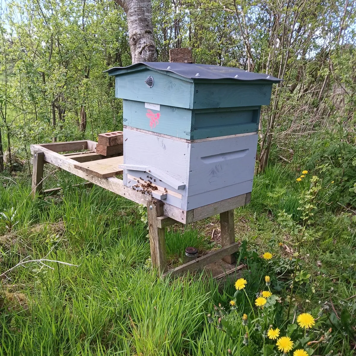Bee hive complete with bees. - Image 4