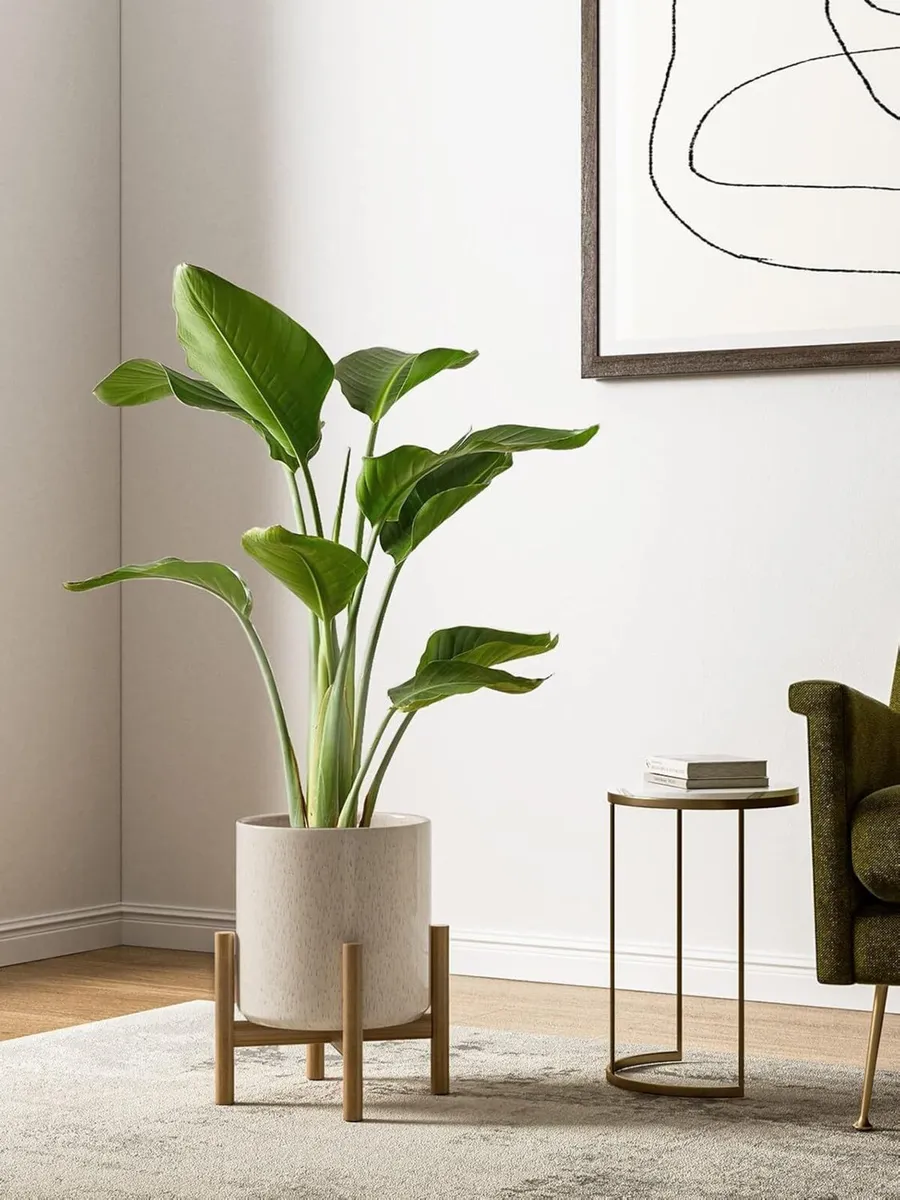 15+20+25 cm Plant Pots Set Ceramic Planters for - Image 2