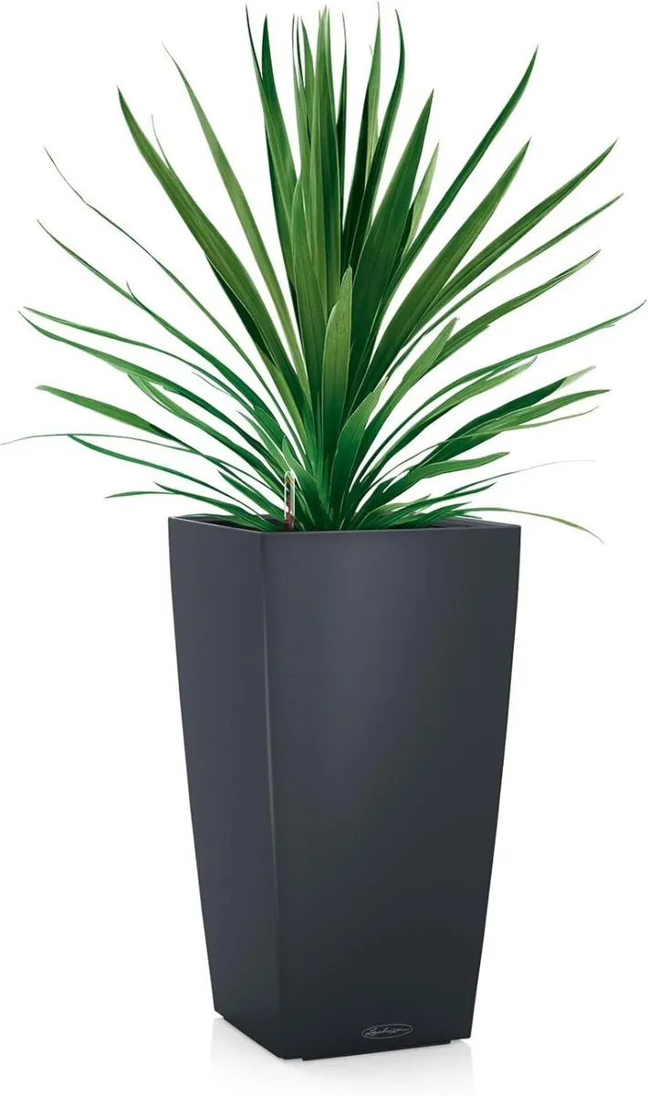CUBICO Color 40 Self Watering Planter Large - Image 4