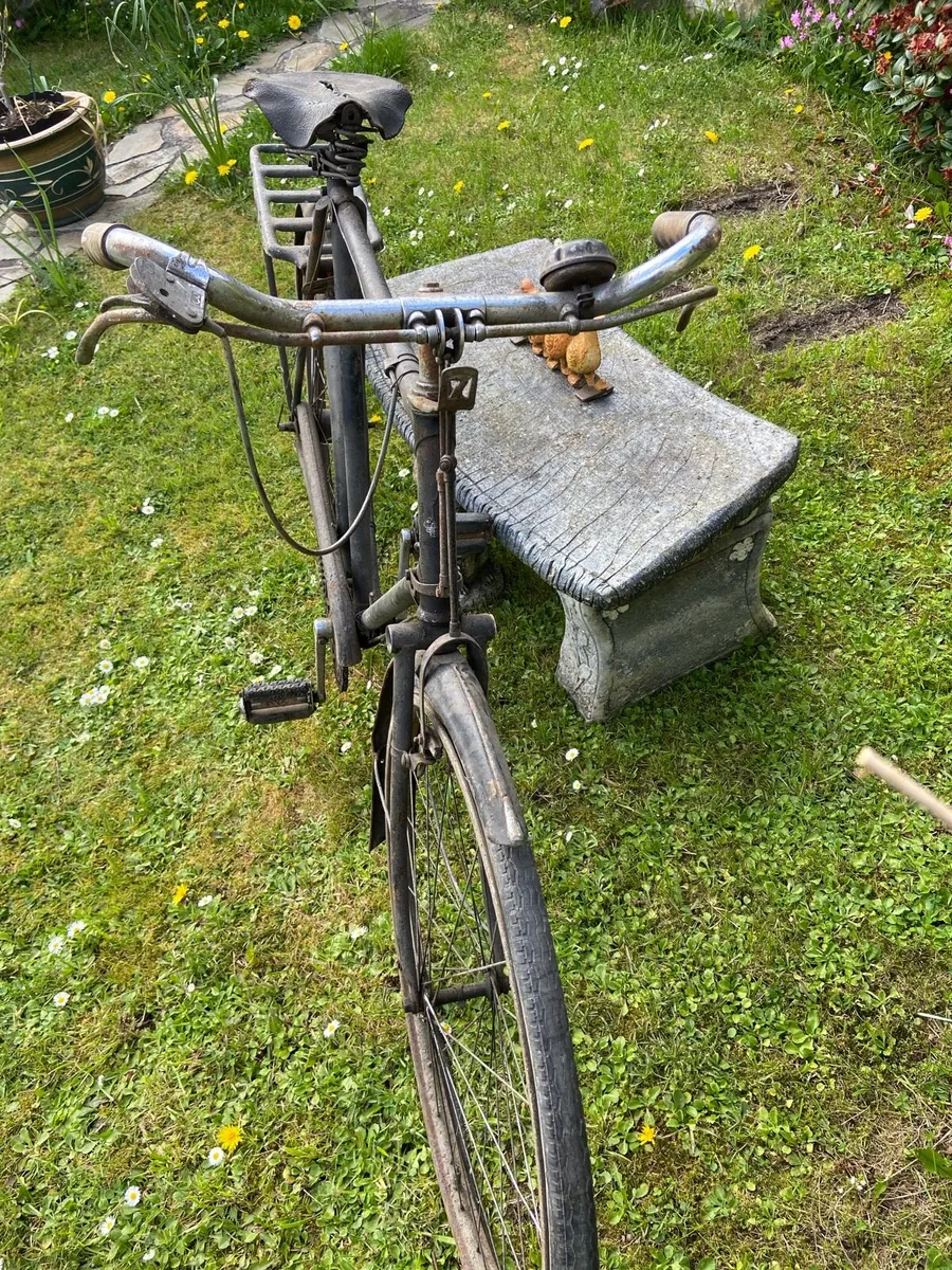 Highnelly. Bicycle - Image 2