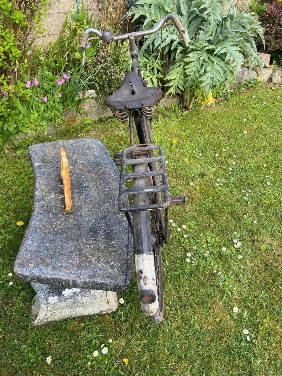 Highnelly. Bicycle - Image 3