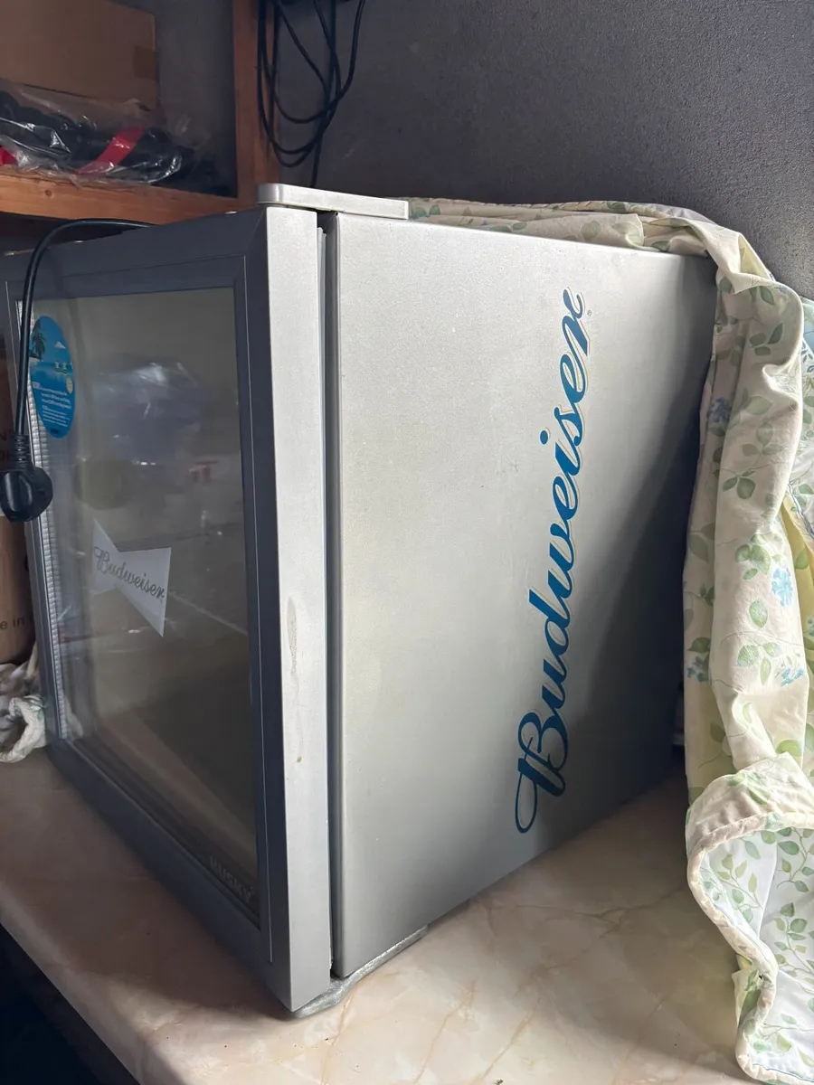 Mini Drinks Fridge - Image 2