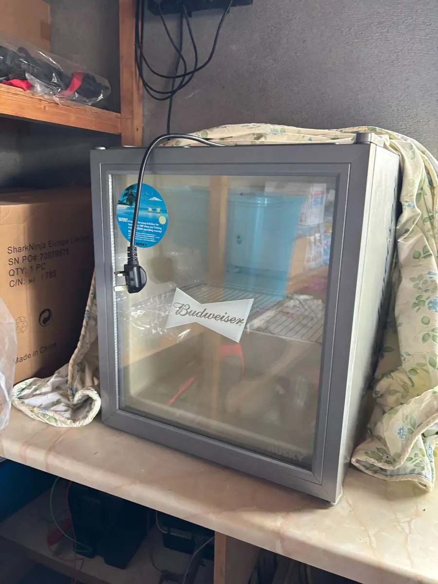 Mini Drinks Fridge - Image 3