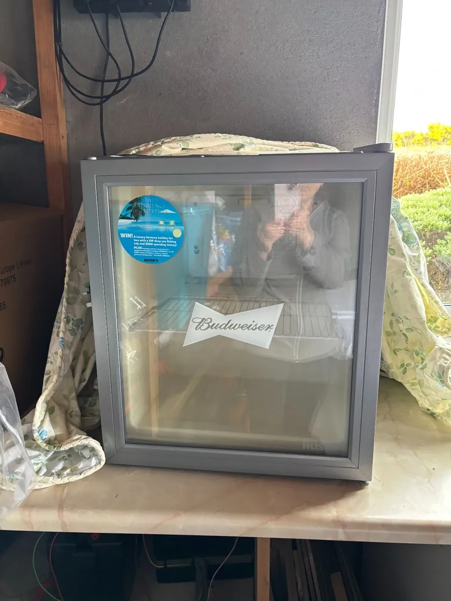Mini Drinks Fridge - Image 4