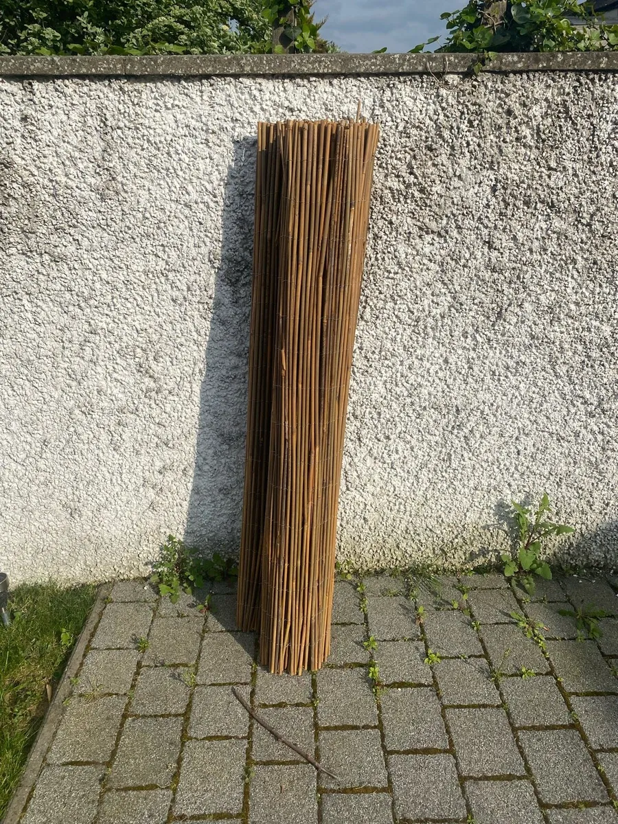 Bamboo fence - Image 2
