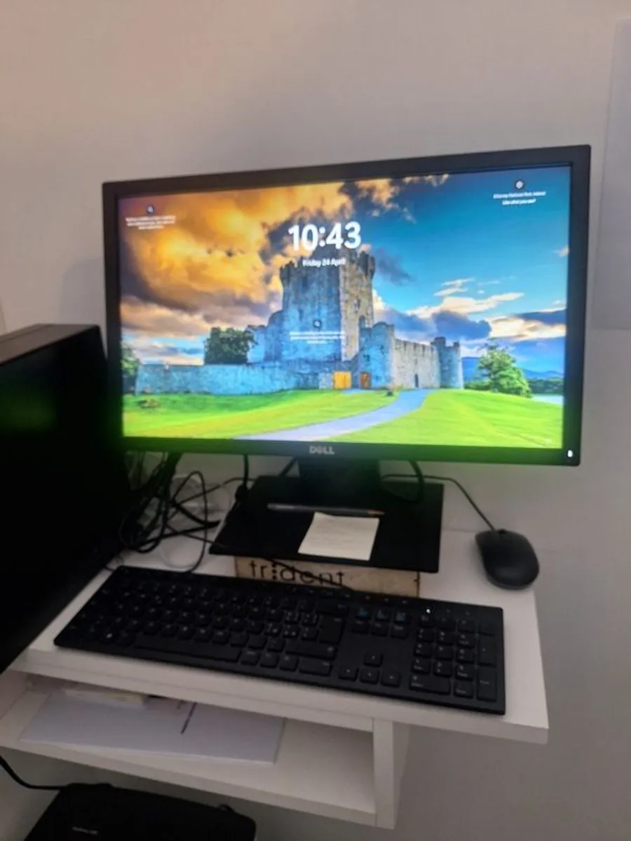 Dental X-ray - Image 4