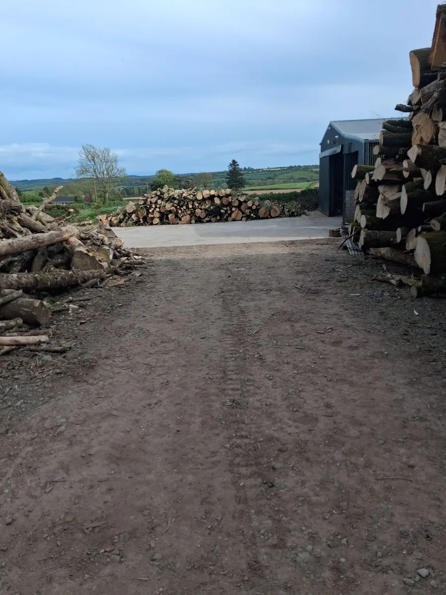 Hardwood timber - Image 2