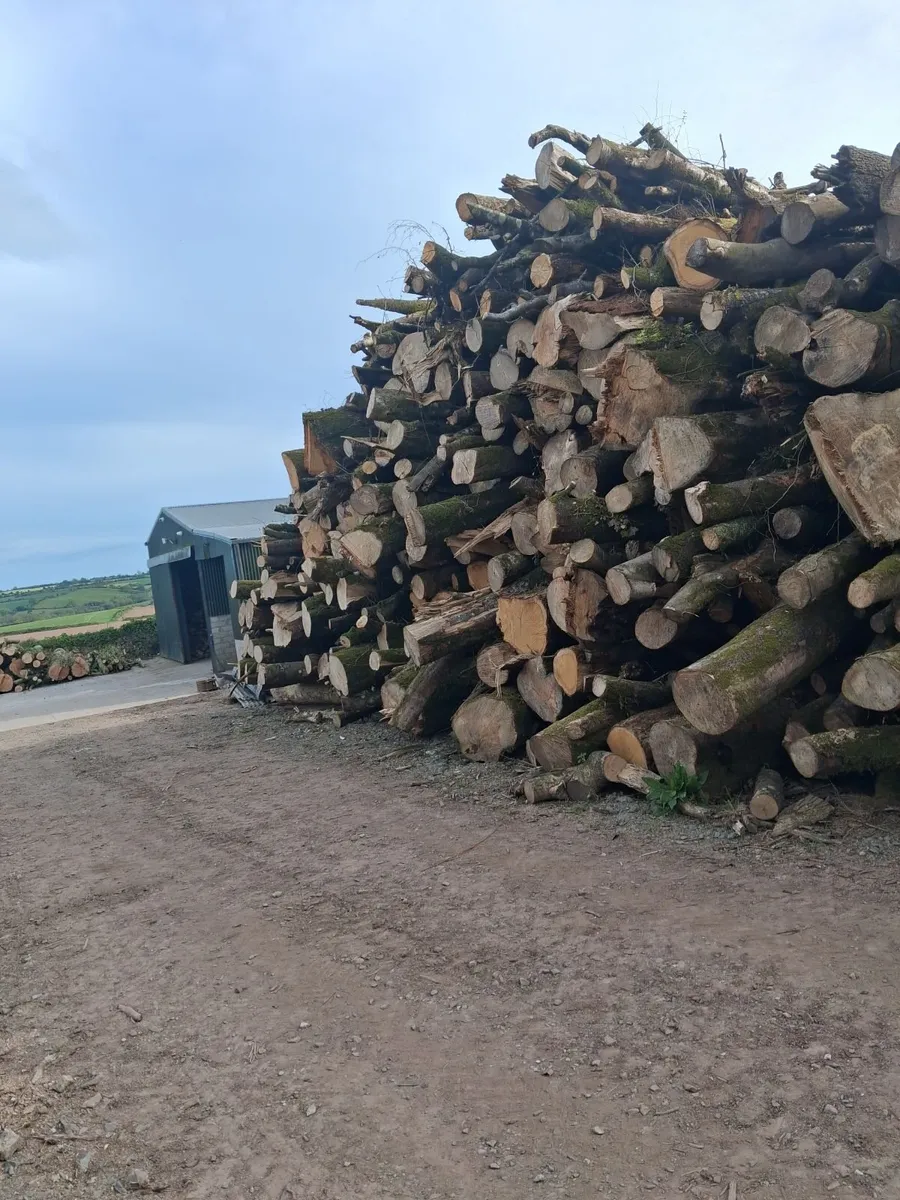 Hardwood timber - Image 1