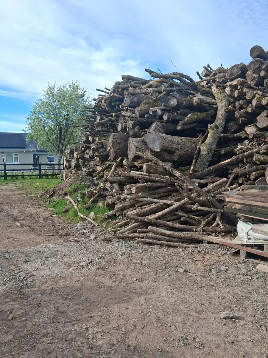 Hardwood timber - Image 3