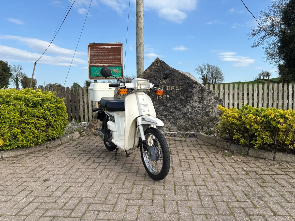 1987 Honda SH50 - Image 3