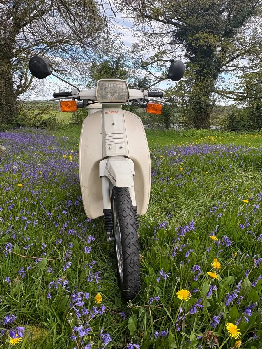 1987 Honda SH50 - Image 4