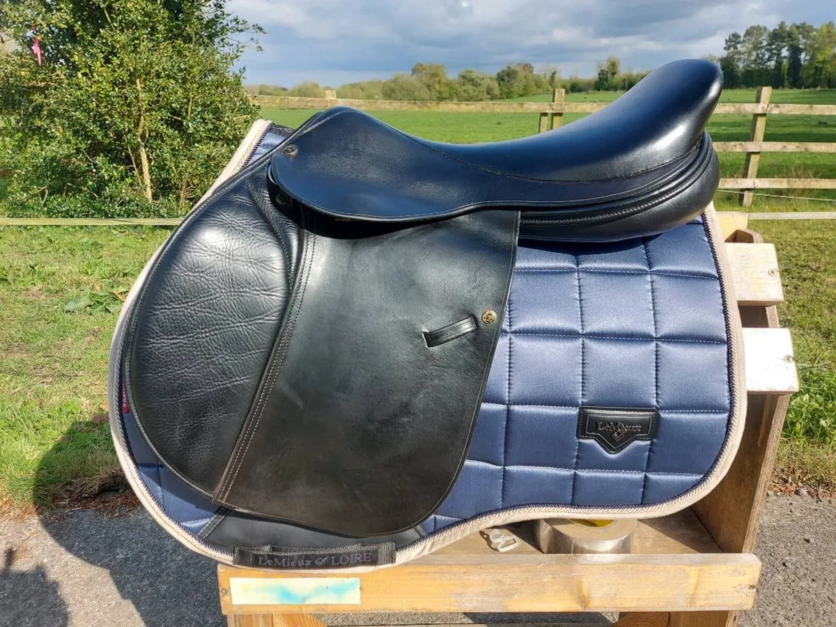 FRANK BAINES ELAN CLOSE CONTACT JUMP SADDLE - Image 1