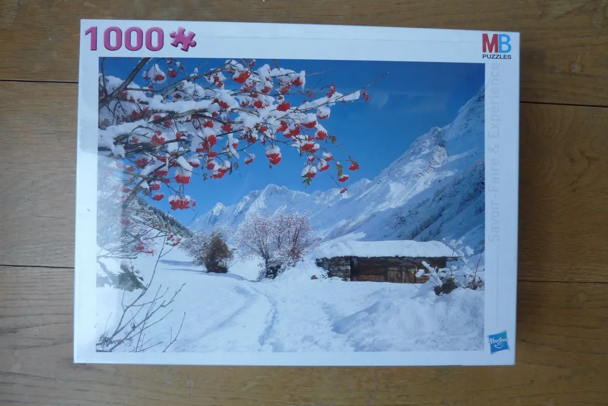 Jigsaw - Track in the snow - Image 1