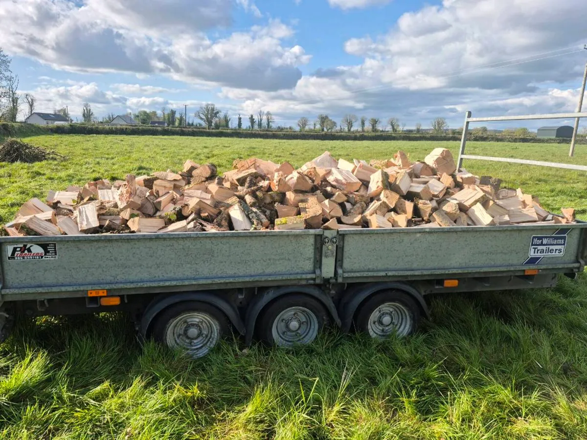 Load of Timber - Image 1